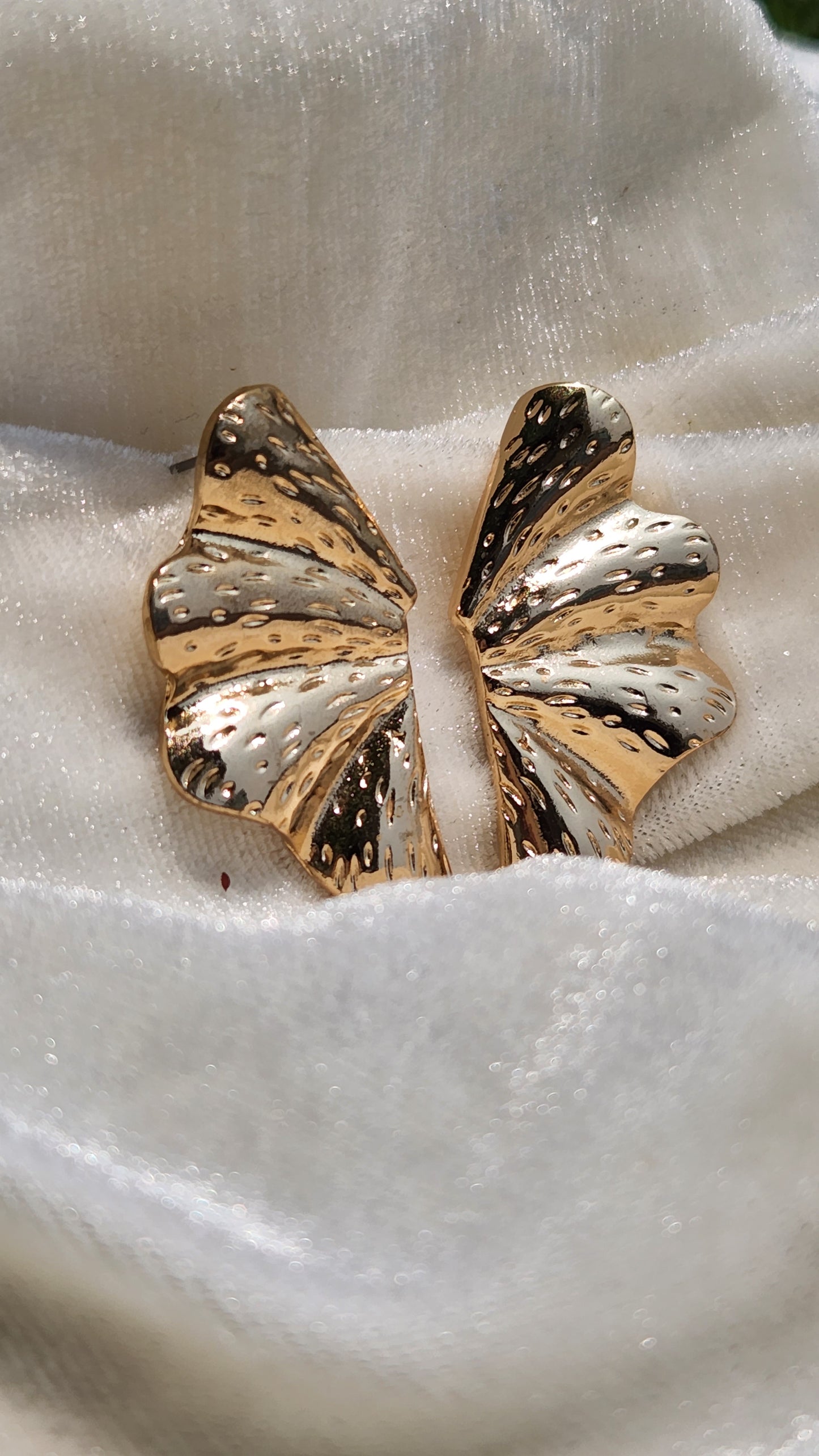 Butterfly Gold polished Stainless Steel Earrings - Tarnish free